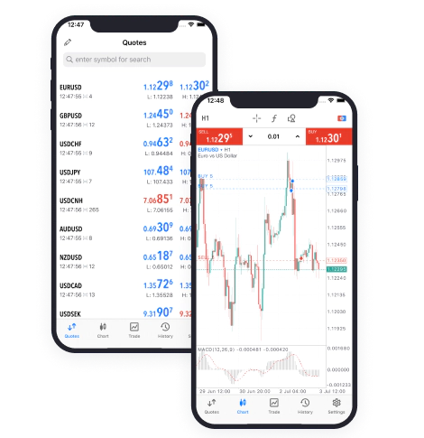 MetaTrader (MT) 112 MetaTrader (MT)